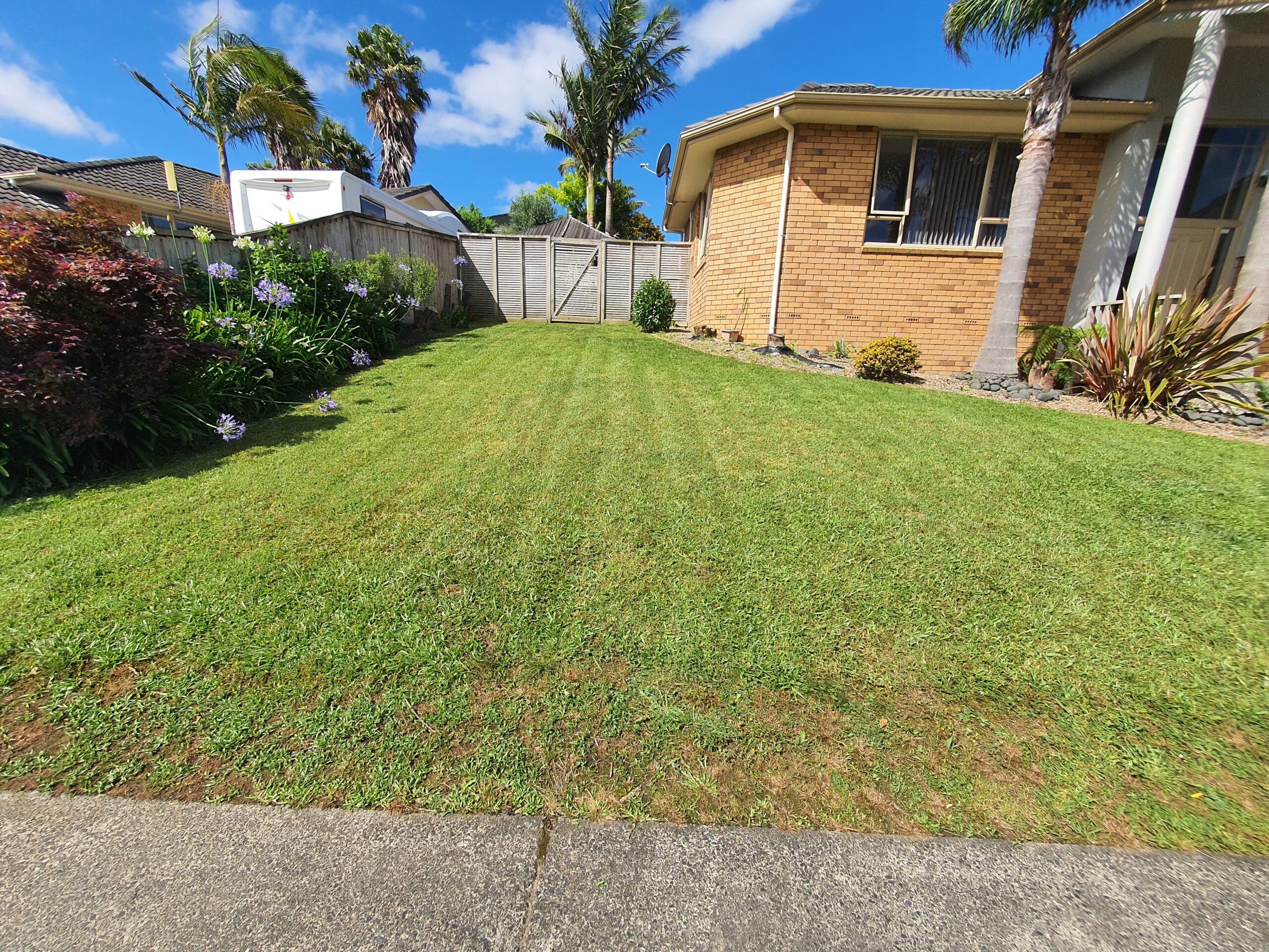 lawn mowing services