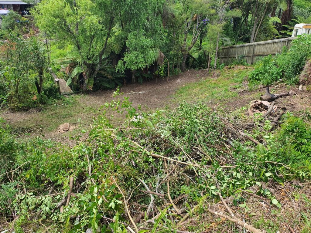 garden clean up