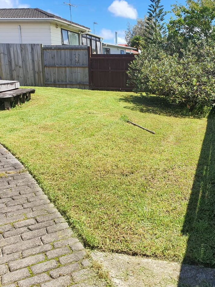 Property Maintenance